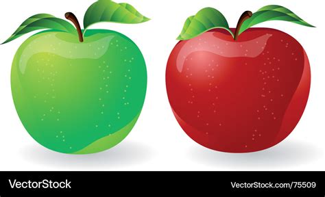 Apples Royalty Free Vector Image Vectorstock