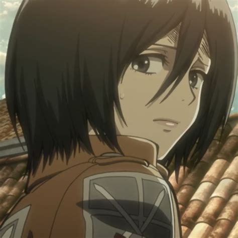 Mikasa Icon 巨人 進撃の巨人