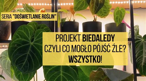 Projekt świateł BIEDALEDY czyli co mogło się nie udać WSZYSTKO Ale w