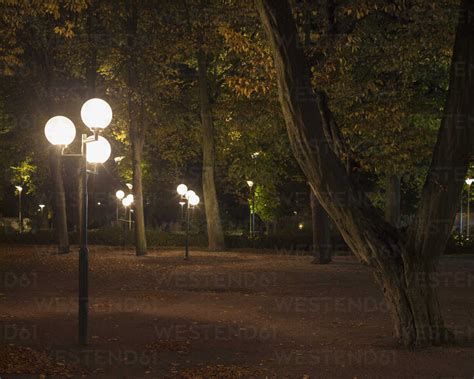 Street Lamps In Park At Night Stock Photo