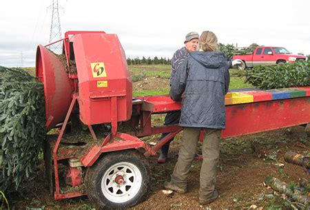 Christmas Tree Delivery - Christmas Tree Farm