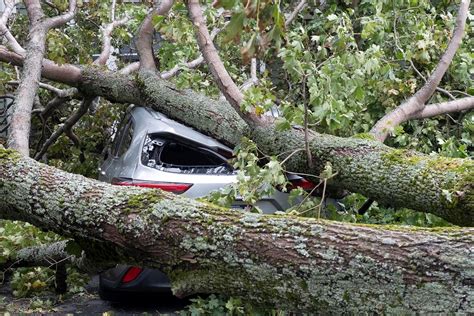 In Pics Hurricane Fiona Makes Landfall In Atlantic Canada Mint Primer