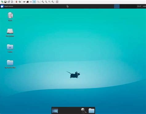 How To Remote Access Linux Desktop GUI From Windows Over The Internet