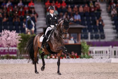 Pferd Sport Zucht Und Sport In Schleswig Holstein Und Hamburg