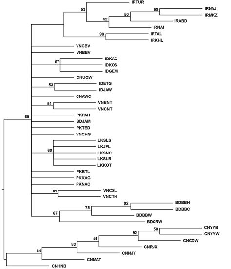 Neighbour Joining Tree Dendrogram Based On Pairwise Nei S Genetic