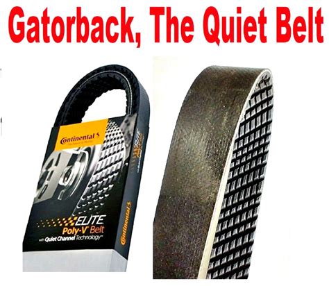 New Serpentine Poly V Belt The Quiet Belt Gatorback Continental Elite 4070972 Ebay