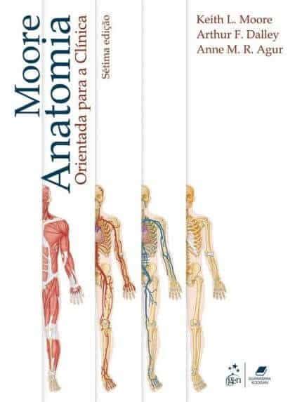 Anatomia Orientada Para Cl Nica Moore Ed Pdf