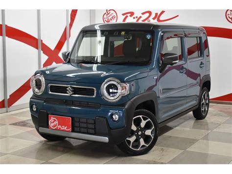 スズキ ハスラー ハイブリッドxターボ 4wd 9インチメモリーナビ 全方位モニターの中古車｜グーネット中古車