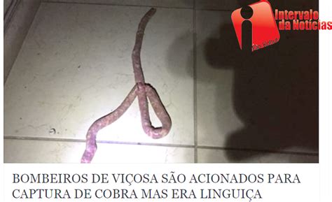 Intervalo da Notícias Mulher confunde linguiça cobra e pede