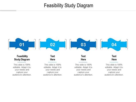 Feasibility Study Diagram Ppt Powerpoint Presentation Outline Slides