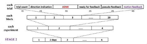 schedule    stage  scientific diagram