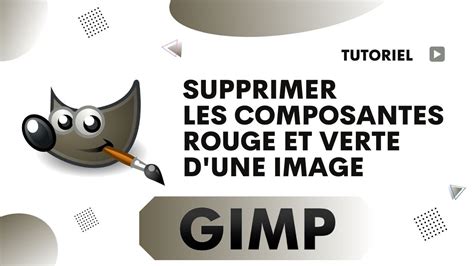 Comment Supprimer Les Composantes Rouge Et Verte Dune Image Gimp Youtube