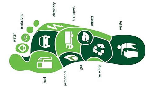 What Is Carbon Footprint And How Can We Reduce It?Balanced Earth