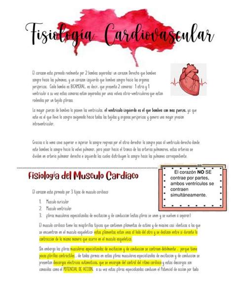 Fisiologia Cardiovascular Gaby Balanta Arrechea UDocz