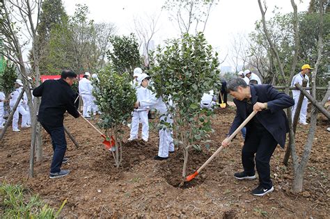 学校开展冬季植树绿化活动 信阳师范大学新闻网