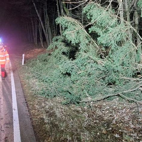 Einsatz 2 2024 THL 1 Baum auf Straße Feuerwehr Neukirchen bei