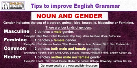 Uses Of Noun And Gender In English Grammar