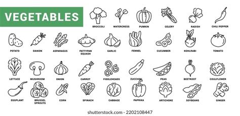 12 Vegetable Brushes Photoshop Brushes