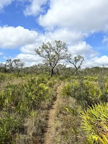 Best 10 Hikes and Trails in Myakka River State Park | AllTrails