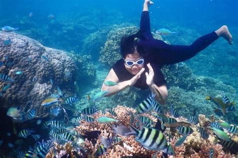 Biaya Snorkeling Di Karimunjawa Agen Wisata Karimunjawa