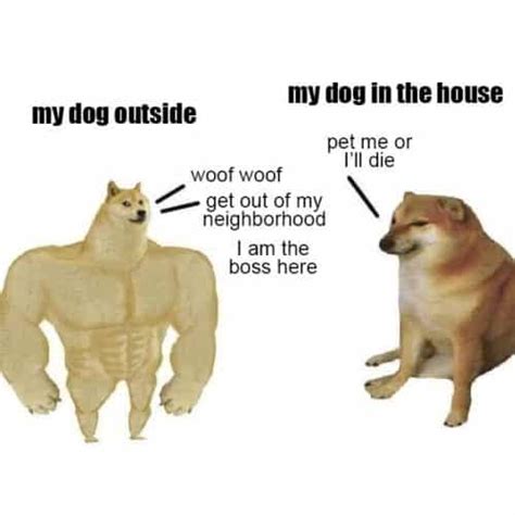 35 Of The Best Swole Doge And Cheems Memes We Had Time To Find