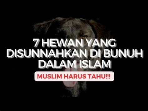 TERNYATA 7 Hewan Ini Di Sunnahkan Dibunuh Dalam Islam YouTube