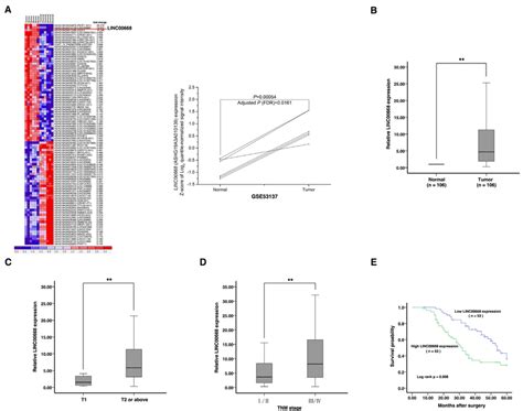 Screening Linc By Bioinformatics Analysis And Its Expression In Gc