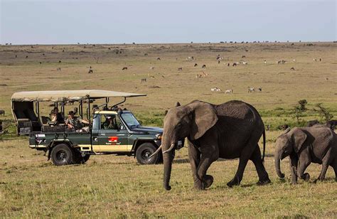 Days Masai Mara Lake Nakuru Ol Pejeta Conservancy Tour