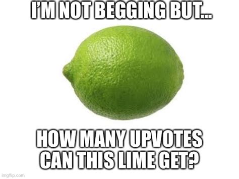 Lime Imgflip