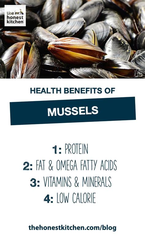 The Health Benefits Mussels Provide Canines Felines Health Health