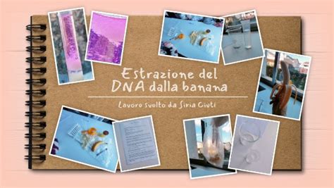 Estrazione Del Dna Dalla Banana