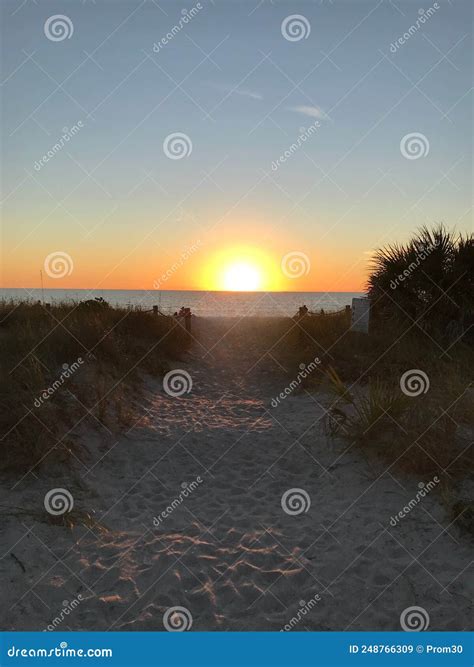 Sunset Florida beach stock image. Image of englewood - 248766309