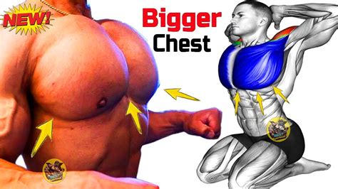 The Top 8 Chest Workouts For Building A Strong And Big Upper Body Youtube