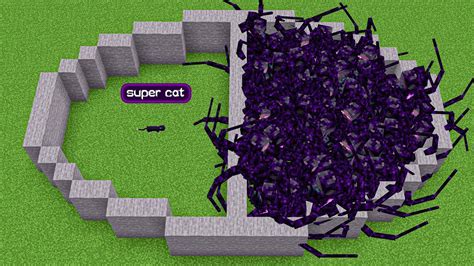 Super Cat Vs Withered Symbiont Wither Storm Mod Youtube