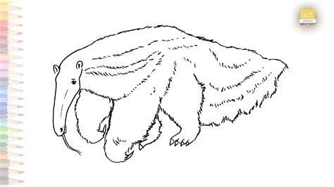 Giant anteater drawing Dibujo fácil de oso hormiguero gigante How