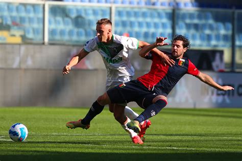 Focus on Sassuolo Genoa precedenti curiosità statistiche quote