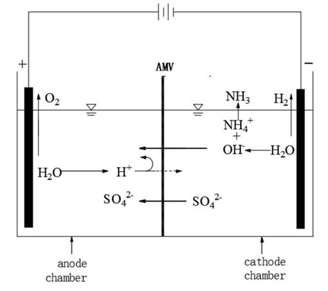 Crystals Free Full Text Pretreatment Membrane Electrolysis Process