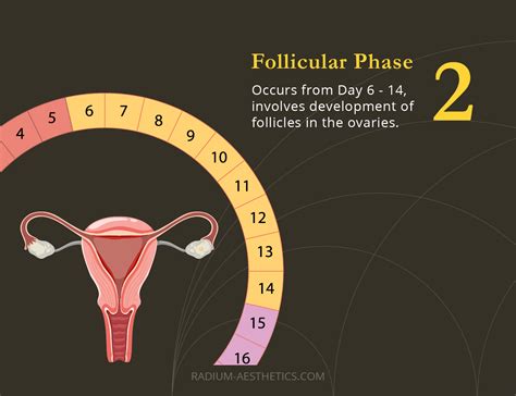 How Does The Menstrual Cycle Affects Your Skin?