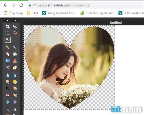 Hướng dẫn cách cắt ảnh theo hình trái tim trong photoshop cho những ai mới bắt đầu học photoshop