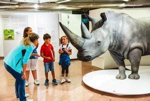 La Domenica Al Museo Gratis Trentino Cultura