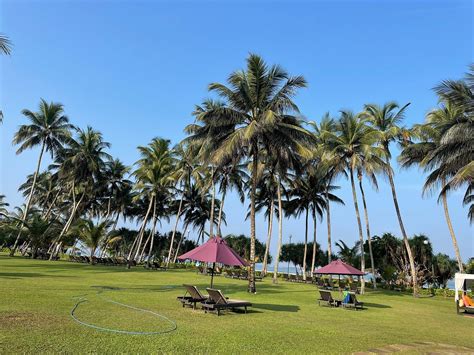 THAALA BENTOTA RESORT (AU$97) - 2024 Prices & Reviews (Sri Lanka ...