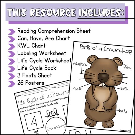 Life Cycle of a Groundhog Activities, Worksheets, Booklet - Groundhog ...