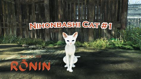 Rise Of The Ronin Nihonbashi Cat 1 Youtube