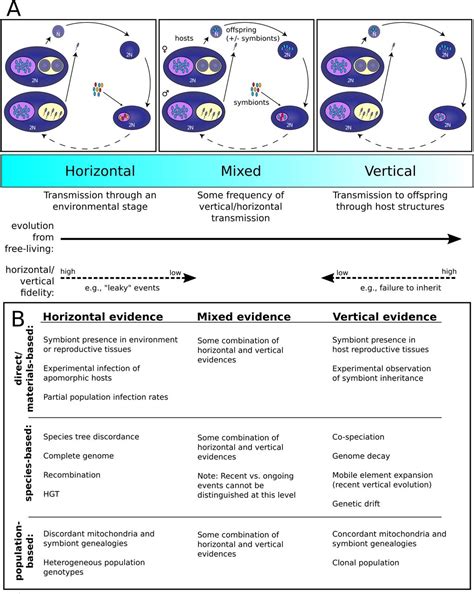 Vertical Transmission