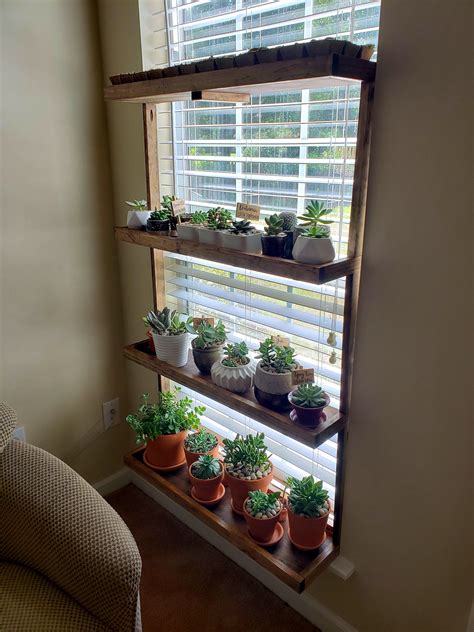 Pin by marielle on succulents. | Window shelves, Shelves, Window shelf for plants