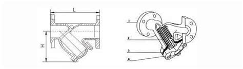 ASTM A216 WCB Y Strainer ASME B16 34 6 Inch 150 LB RF Vervo