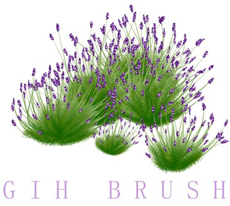 Free GIMP Lavender brushes by UnseenIvy on DeviantArt