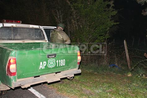 Ataque Incendiario Afect Faena Forestal En Las Cercan As De Cunco