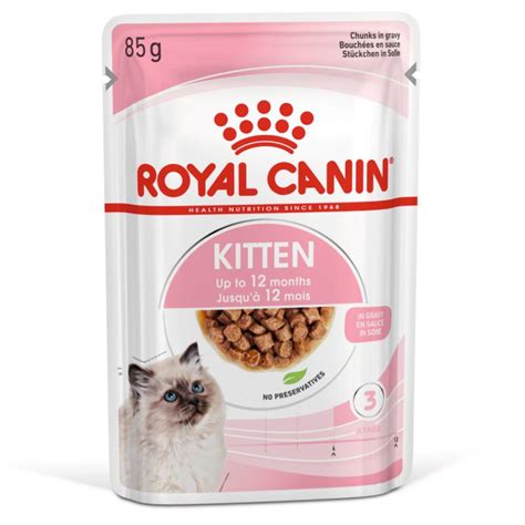 Top 5 Best Wet Kitten Foods In Malaysia 2024 Must Try