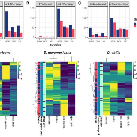 Dynamics Of Mrna Expression Of Transcripts That Code For Ejaculate Download Scientific Diagram